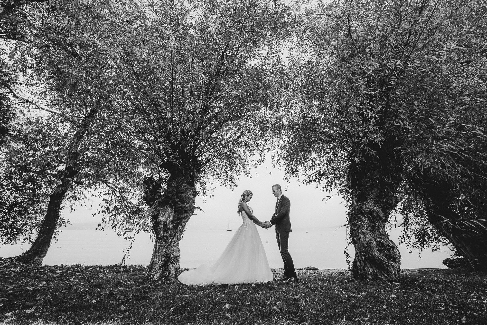 Export x3 1DX26293 Hochzeit 2019 Tatjana und Hermann 3